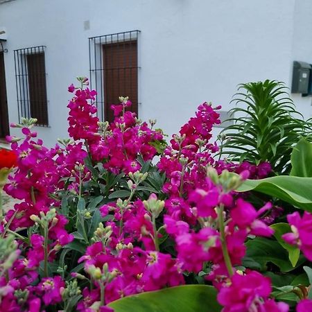 Willa Casa Francisca En El Casco Antiguo Vejer de la Frontera Zewnętrze zdjęcie